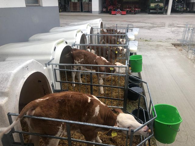 Stefflhof in Saalfelden