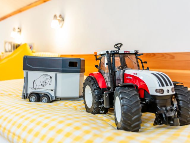 Stefflhof in Saalfelden