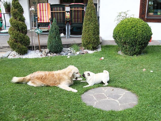 Ferienwohnungen Heigl - Pedratscher