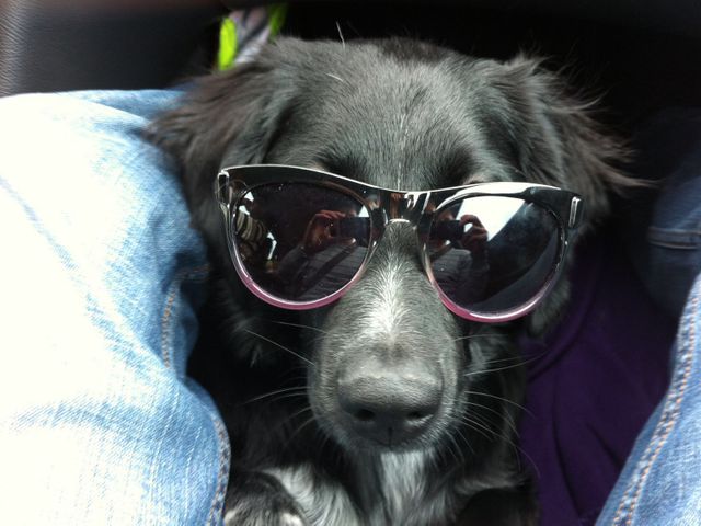 Ferienwohnungen Heigl - Pedratscher